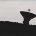Germany Detains Two Over Bulgaria Starlink Antenna Arson