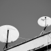 Israeli Firm Dominated Starlink Ad Bidding in 105 Countries