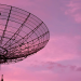 Senators Set Nov 1 Deadline on Starlink Ukraine Probe