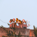 Starlink Licence Stalls as ICASA Awaits a Law Change
